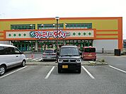 ザ・ダイソー　厚木妻田店　距離約1000m