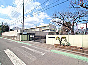 相模原市立若草小学校　距離約640m