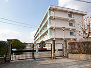 町田市立忠生中学校　距離約1300m