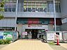 周辺：東急ストア　向ヶ丘遊園店　距離約500m
