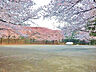 周辺：小台公園　距離約450m