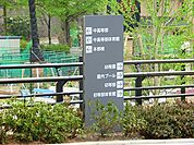 森村学園幼稚園　距離約800m