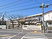 相模原市立大野台小学校　距離約800m