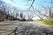 いろは坂桜公園　距離約350m