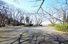 周辺：いろは坂桜公園　距離約350m