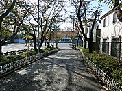 横浜市立新田小学校　距離約700m