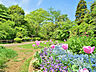 周辺：芹ヶ谷公園　距離約700m