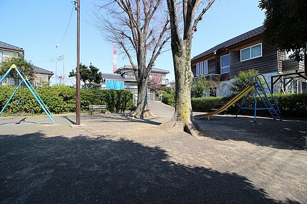 周辺を拡大表示
