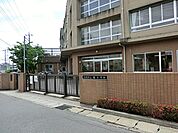 川崎市立橘小学校まで約1000m
