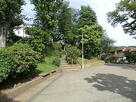 津田山公園 距離約950m
