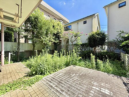 庭付きの戸建て住宅の外観と植栽の様子