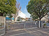 周辺：川崎市立南菅小学校　距離約400m