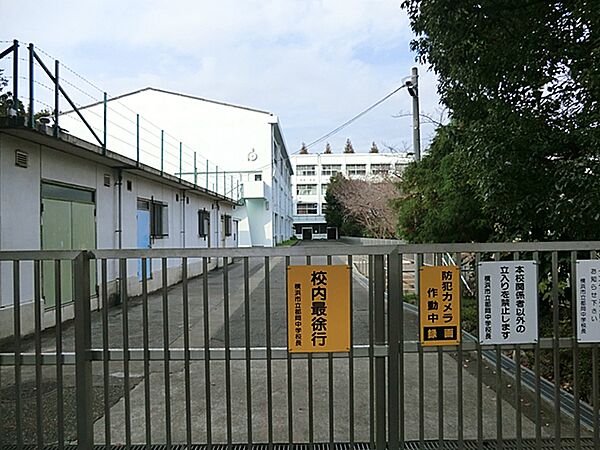 周辺を拡大表示