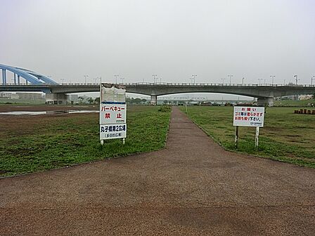 丸子橋第2広場　距離約500m