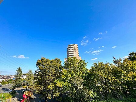 周辺の緑と高層建物が見える眺望です