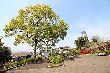 小山見晴しの丘公園まで約950m