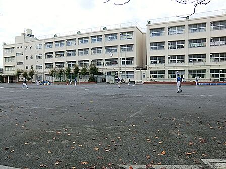横浜市立師岡小学校まで約550m