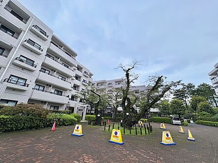 集合住宅の外観と植栽のある敷地