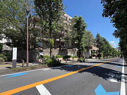 街路樹のある道路と周辺の建物