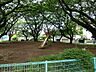 周辺：小台東公園まで約800m