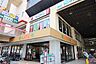 周辺：ライフ　向ヶ丘遊園店まで約1000m