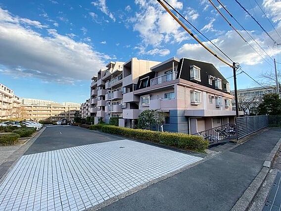 すぐ近くの桜の...