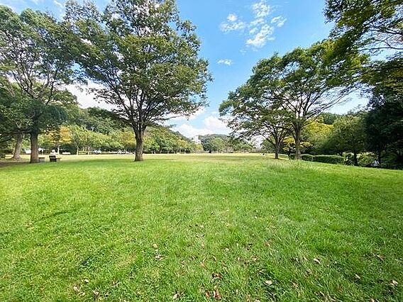 若宮公園まで6...