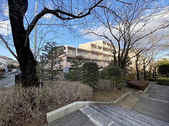 すぐ近くの遊歩...