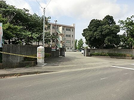 海老名市立中新田小学校まで110m