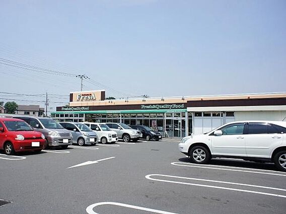 フレサ新磯野店...