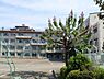 周辺：川越市立中央小学校まで614m