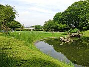 清水公園まで500m