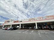 スーパーオザム八王子諏訪店まで508m