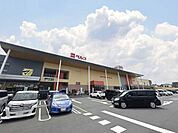 ベルクフォルテ八王子店まで543m