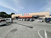 エコス川口店まで1236m