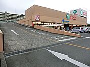 エコス東浅川店まで700m