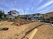 2026年6月1日撮影