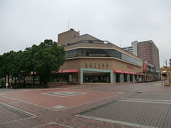 周辺を拡大表示