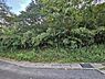 外観：前面道路含む現地写真です！