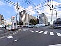現地写真