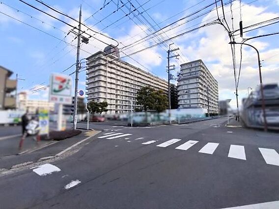 現地写真