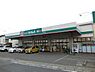 周辺：ドラッグセイムス 下川入店まで725m