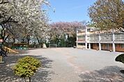 慶泉幼稚園まで253m