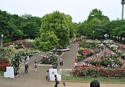 光綾公園まで756m