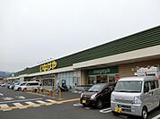 いなげや厚木三田店まで950m
