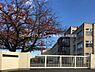 周辺：羽曳野市立河原城中学校まで1283m