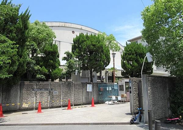 周辺を拡大表示
