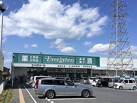 エバーグリーン神楽店まで1356m