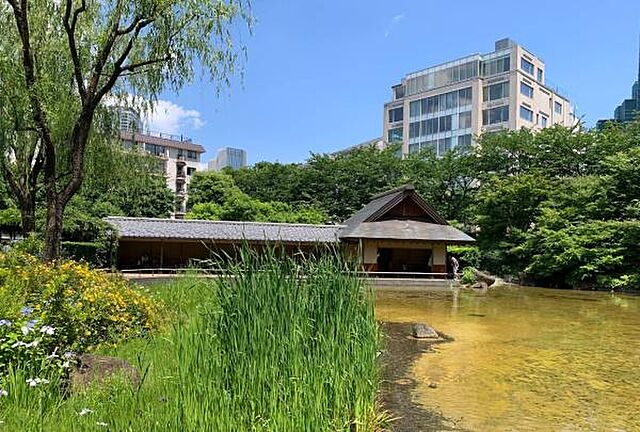 周辺 パークコート赤坂檜町ザ　タワー 34階/-