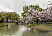 東京都立代々木公園まで600m